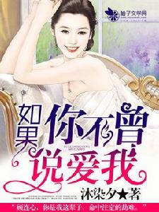 如果你不曾說愛我[都市言情小說]