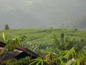 搬遷自然村