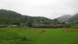 小寺村[山東膠州市鋪集鎮下轄村]