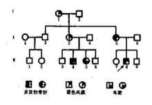 一例成骨不全病例系譜