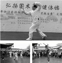 武林活拳