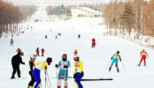 伊春金山滑雪場