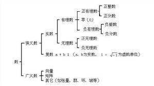 數[數學]