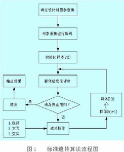 種群初始化