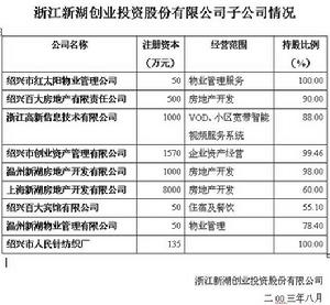 新湖創業