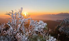 廣西大明山