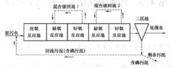 Phoredox工藝流程