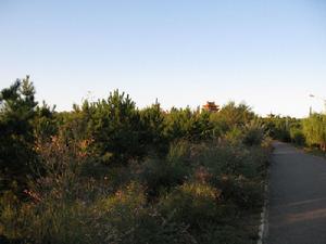 西寧南山公園