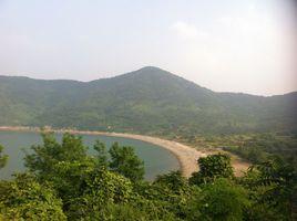 青山村[山東省嶗山區王哥莊青山村]