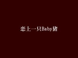 戀上一隻Baby豬