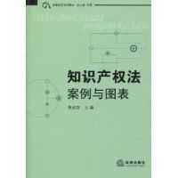 智慧財產權法案例與圖表