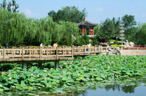 世婦會紀念公園