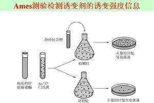 誘變劑處理