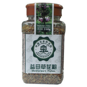 中農益母草花粉