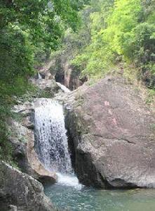 浙江仙霞國家森林公園