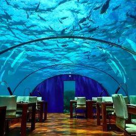 馬爾地夫的海底餐廳