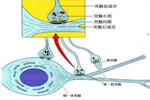 單神經病與神經叢神經病