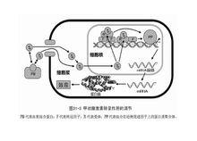 散發性呆小病