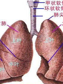 肺部積液