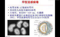 H1N1狀況