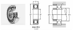 NTN 6004LLU軸承