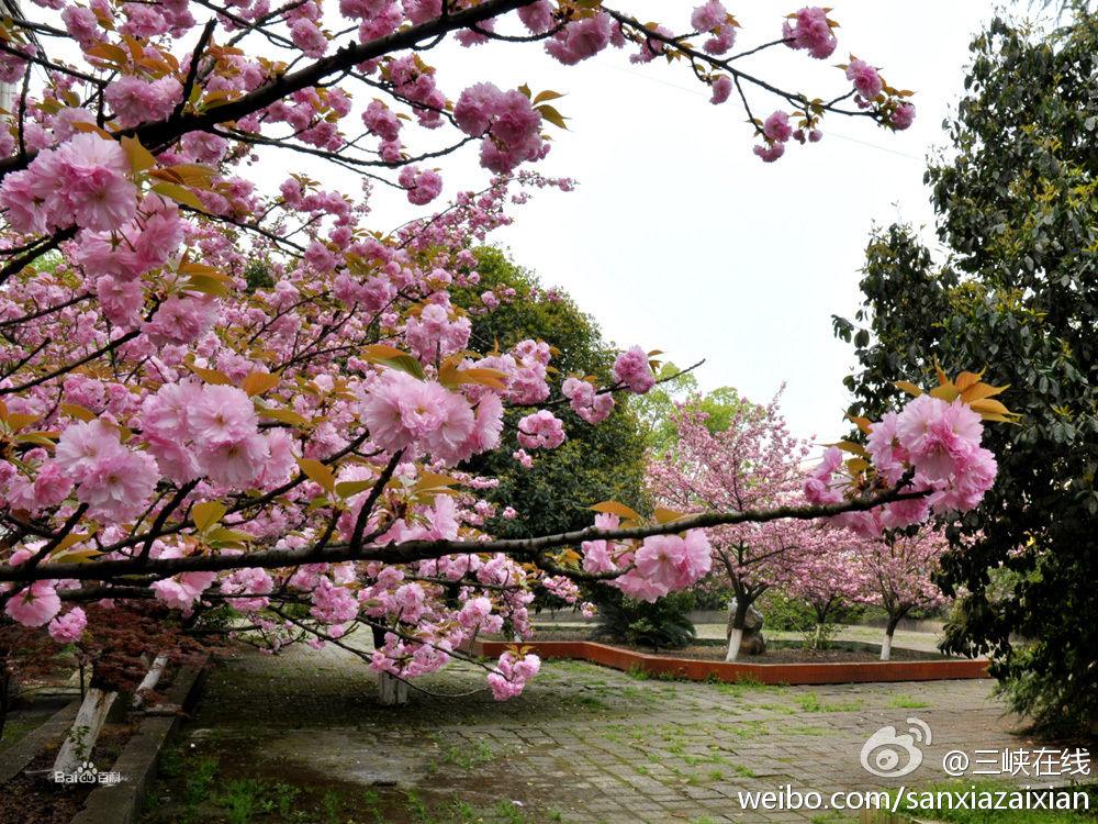 圖書館一景