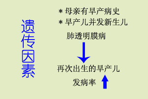 新生兒肺透明膜病