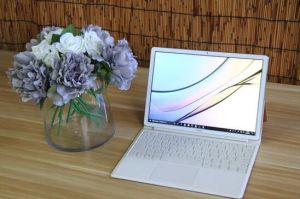 MateBook E