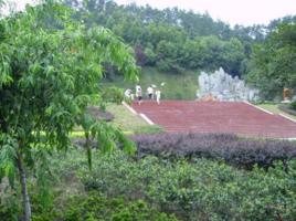 八里莊社區[山東青島市黃島區長江路街道下轄社區]