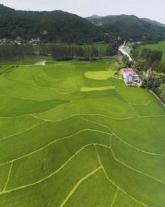 齊山村貌