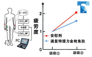 人體試驗