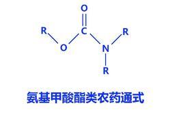 氨基甲酸酯類化合物
