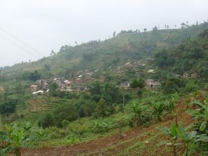 麻栗河二隊村