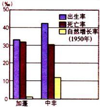 “高高低”模式