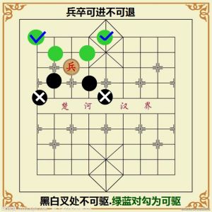 駝棋