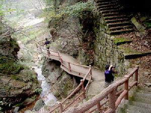 萬佛山國家森林公園