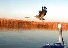 敦煌南湖自然保護區