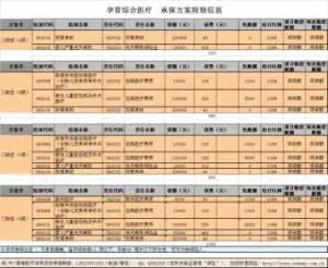 綜合限額抵免