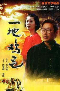 一地雞毛[1995年馮小剛執導，陳道明主演的電視劇]