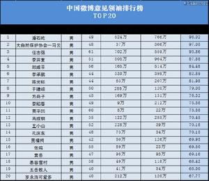 中國微博意見領袖研究報告