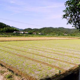 豐田村[湖南省瀏陽市達滸鎮下轄村]