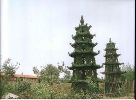 雙塔村[山東省東平縣雙塔村]