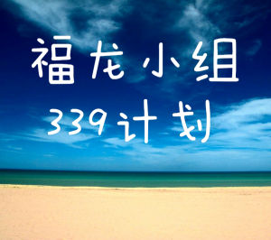 339學習計畫