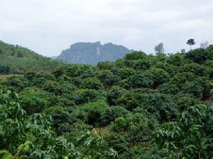 屋背嶺風景圖