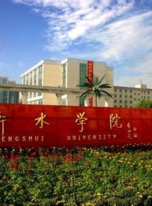 Hengshui University