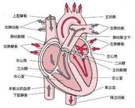 完全性心內膜墊缺損