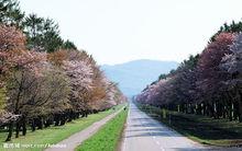 北海道文教大學