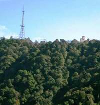 大黑山森林公園