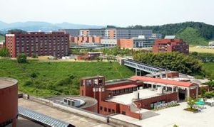 金澤大學