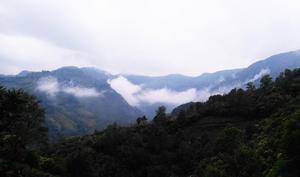 茶山遠景